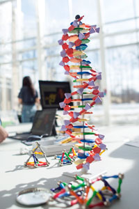 DNA modeling